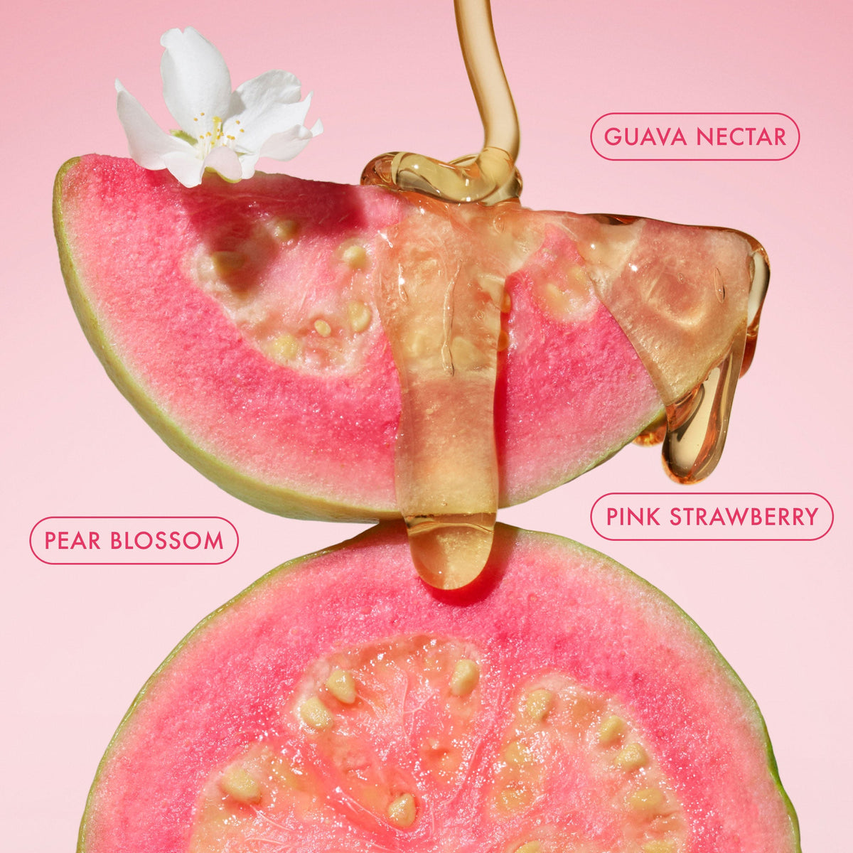 body-butter-balm-pink-guava-travel-size-g9 BodyButterBalmPinkGuava_3.jpg