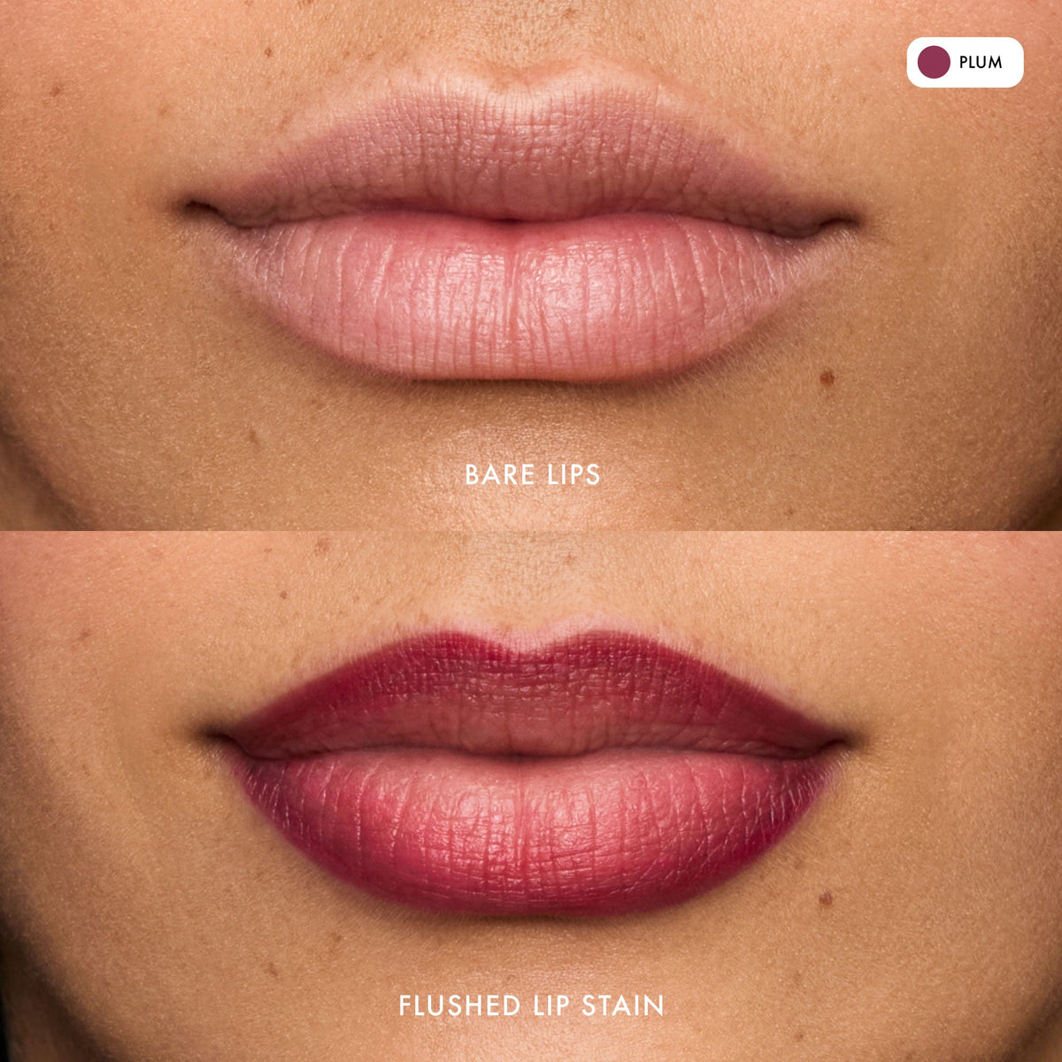flushed-lip-stain-plum-q0 FlushedLipStain_Plum_B_A.jpg