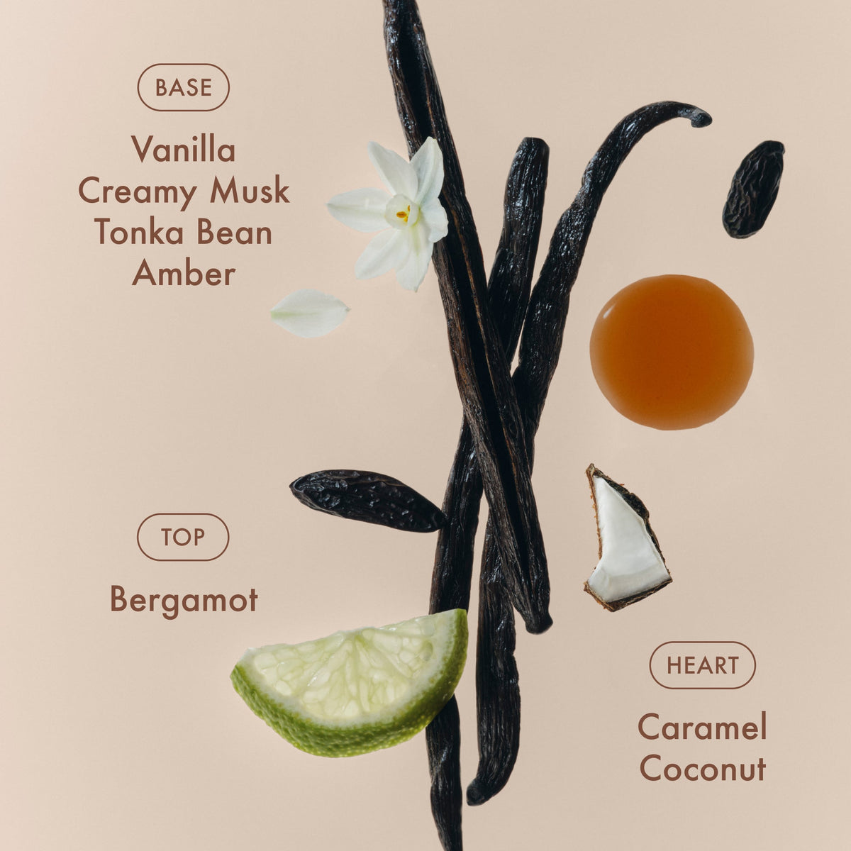 sunlit-vanillatm-eau-de-parfum-m6 SunlitVanilla_4.jpg